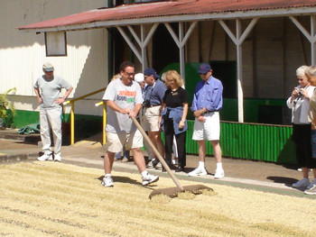 Poas Volcano, Doka Coffee Tour and Sarchi photo 5