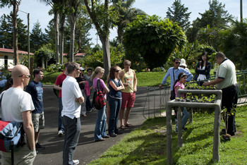 Doka Coffee & Poas Volcano Tour photo 4