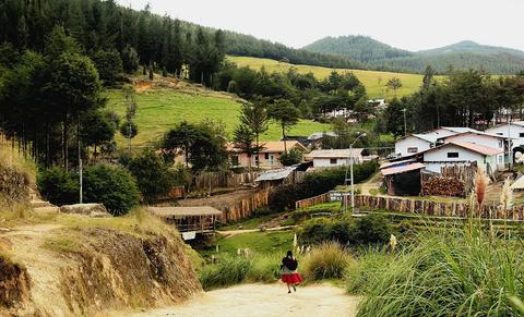 Porcón Farm Tour