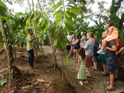 Pure Trek & Chocolate Tour Combo Costa Rica