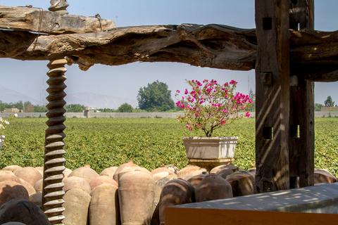 Quierolo Vineyard Tour