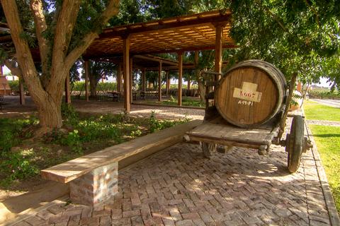 Quierolo Vineyard Tour