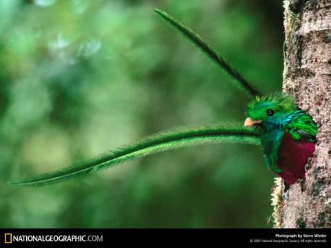 Biotopo del Quetzal Guatemala