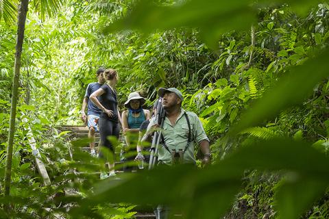 Tour de observación de aves en el bosque lluvioso Costa Rica