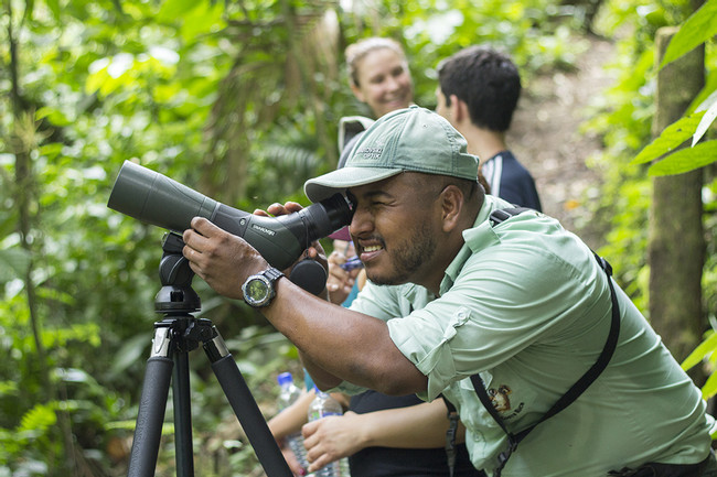 Tour de observación de aves en el bosque lluvioso photo