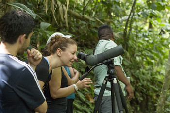 Tour de observación de aves en el bosque lluvioso photo 5