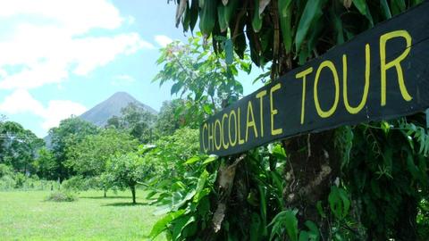 Rainforest Chocolate Tour Costa Rica