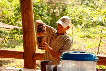 Rainforest Chocolate Tour