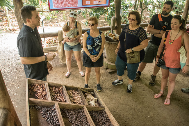 Rainforest Chocolate Tour photo
