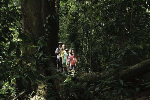 Rainforest Experience Costa Rica