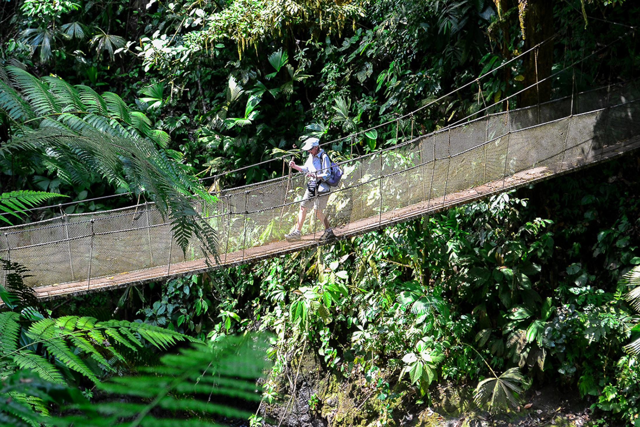 Costa Rica Tours Rainmaker Park Forest Hike