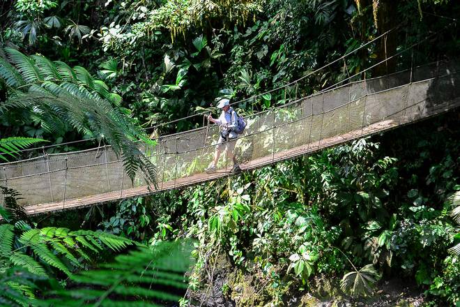 Rainmaker Park Forest Hike, Costa Rica