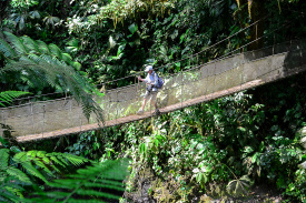 Rainmaker Park, Hanging Bridges and Waterfall Tour
