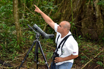Caminata por el Bosque del Parque Rainmaker photo 2