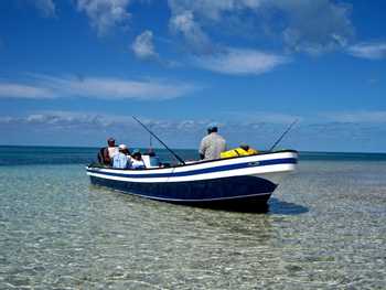 Reef Fishing Half Day Tour