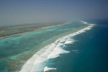 Tour de Pesca de Arrecife photo 5