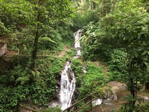 Searching for the Quetzal Guatemala