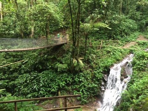 Searching for the Quetzal Guatemala