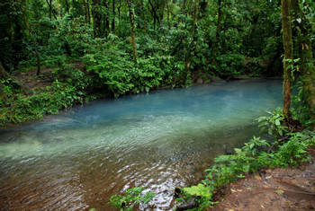 Rio Celeste & Tenorio Volcano Rainforest photo 5