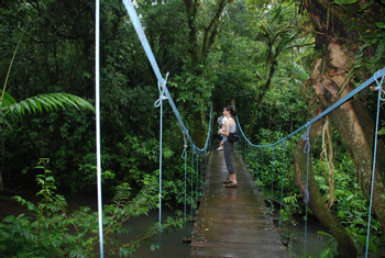 Rio Celeste & Tenorio Volcano Rainforest photo 4