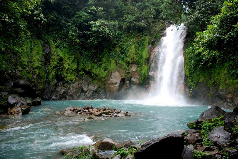 Río Celeste & Caminata Guiada por el bosque del Volcán Tenorio photo