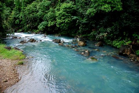 Rio Celeste & Tenorio Volcano Rainforest Costa Rica
