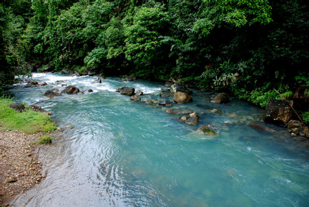 Rio Celeste & Tenorio Volcano Rainforest photo 3