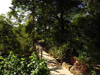 Rio Perdido Wellness Hike