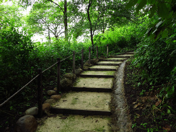Rio Perdido Wellness Hike photo 3