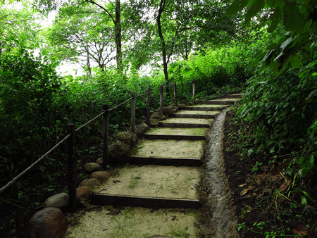 Rio Perdido Wellness Hike photo 3