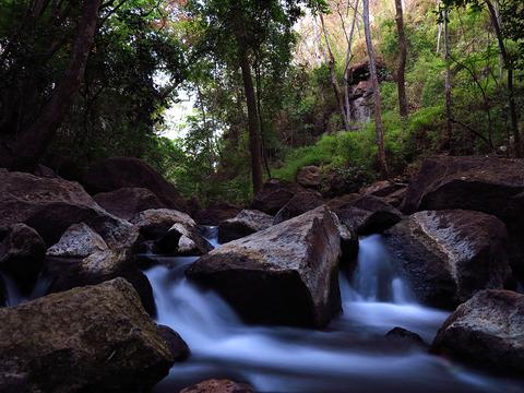 Rio Perdido Wellness Hike Costa Rica