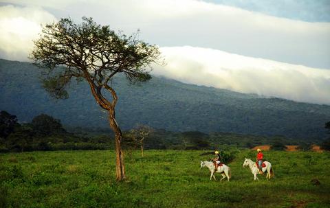 Forest & Beach Horseback Riding