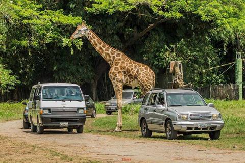 Excursión en Auto Safari Chapin Guatemala