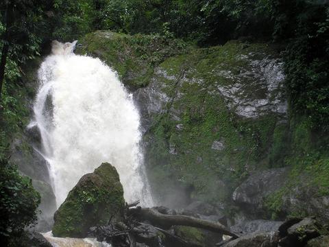 Corcovado National Park San Pedrillo Station 