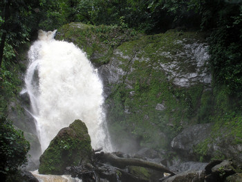 Corcovado National Park San Pedrillo Station  photo 5