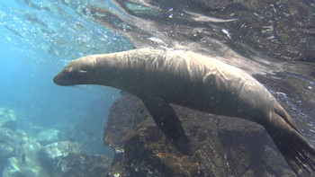 Santa Fe Island Tour  photo 3