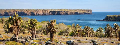 Santa Fe Island Tour  Ecuador
