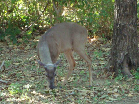 Santa Rosa National Park & Liberia City Tour
