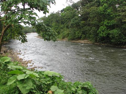 Sarapiquí River Rafting Costa Rica