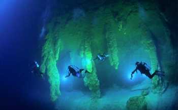 Scuba Diving Barrier Reef