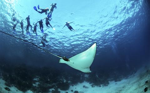 Scuba Diving Barrier Reef Belize