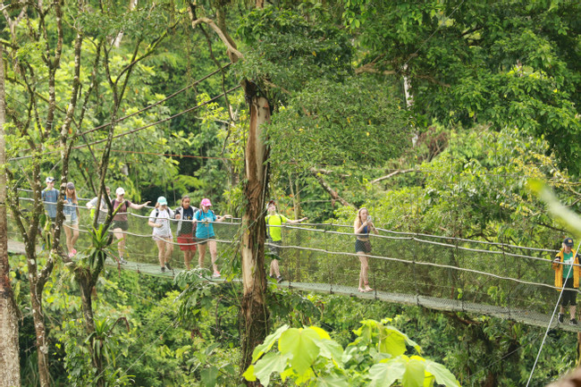 Tirimbina Self-Guided Walk photo