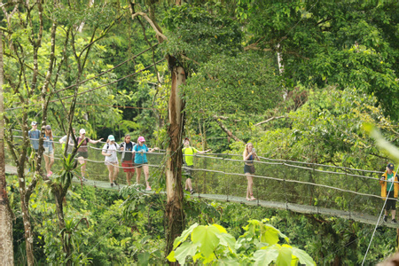Tirimbina Self-Guided Walk