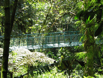 Suspension Bridges and Butterfly Garden photo 5