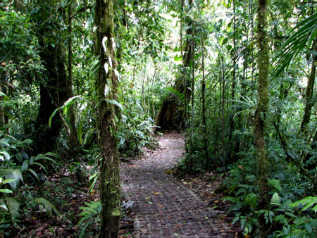 Suspension Bridges and Butterfly Garden photo 3