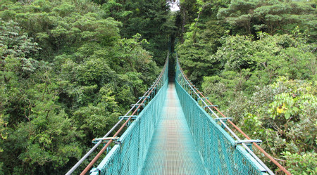 Suspension Bridges and Butterfly Garden photo 2
