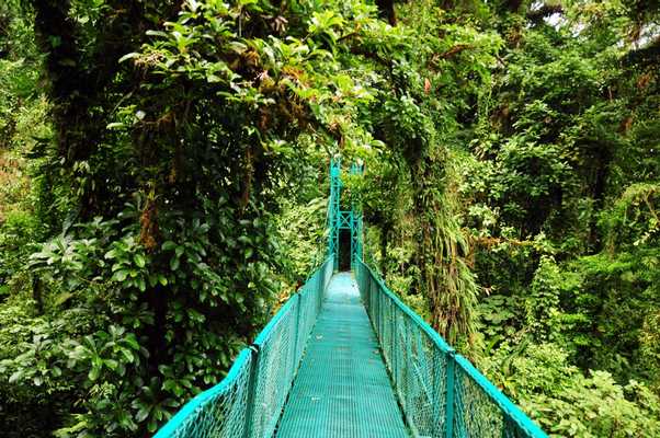 Natural History Walk at Selvatura Park