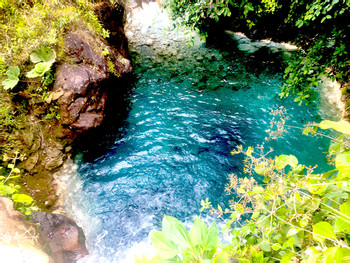 Tour Sensoria Rincón de la Vieja photo 5