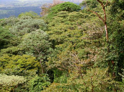 Sky Tram and Sky Trek Arenal Costa Rica