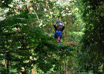 Sky Tram and Sky Trek Monteverde photo 4